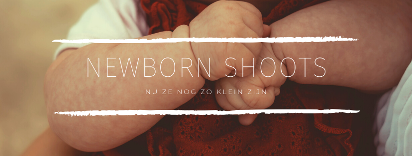 Portfolio newborn shoots Springintveld familiefotograaf Alkmaar e.o.